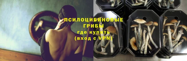 твердый Новозыбков