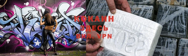 стафф Новодвинск