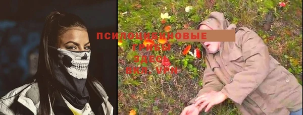 спиды Осинники