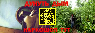 стаф Новокубанск