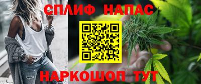 стаф Новокубанск