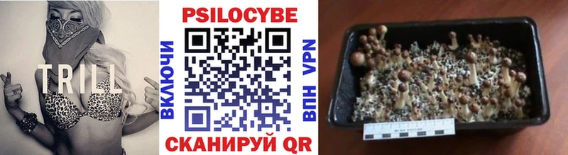 Псилоцибиновые грибы мицелий  kraken как зайти  Псков 