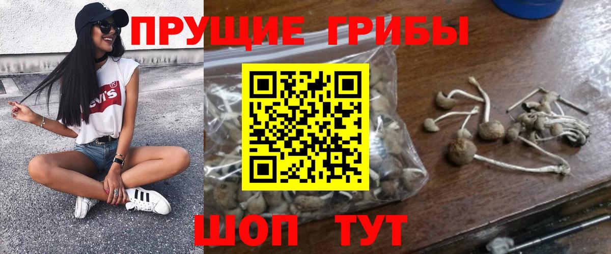 Псилоцибиновые грибы мухоморы Псков